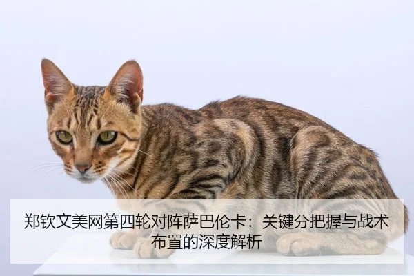郑钦文美网第四轮对阵萨巴伦卡：关键分把握与战术布置的深度解析